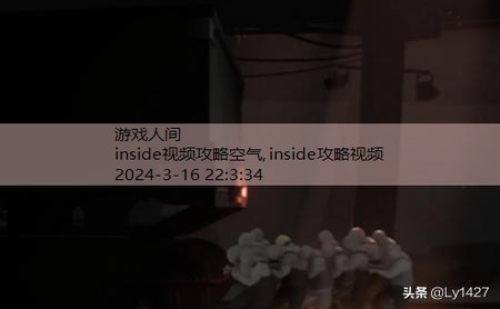 inside图文攻略 全关卡