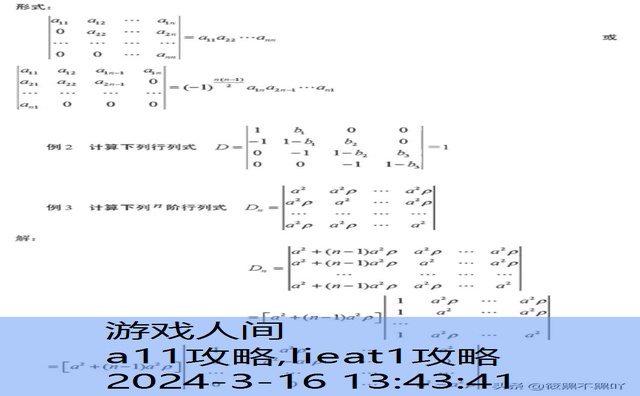 线性代数A11