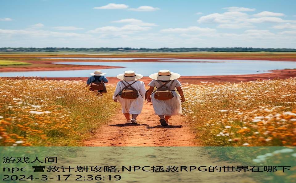 npc 营救计划攻略,NPC拯救RPG的世界在哪下