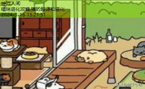 猫咪后院攻略稀有猫