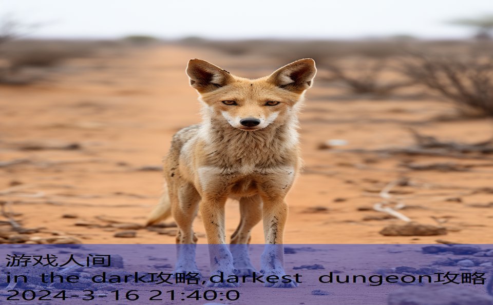 in the dark攻略,darkest dungeon攻略