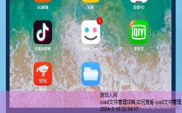 如何查看ipad文件管理