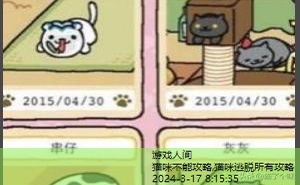 猫咪后院攻略稀有猫