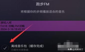 FM攻略