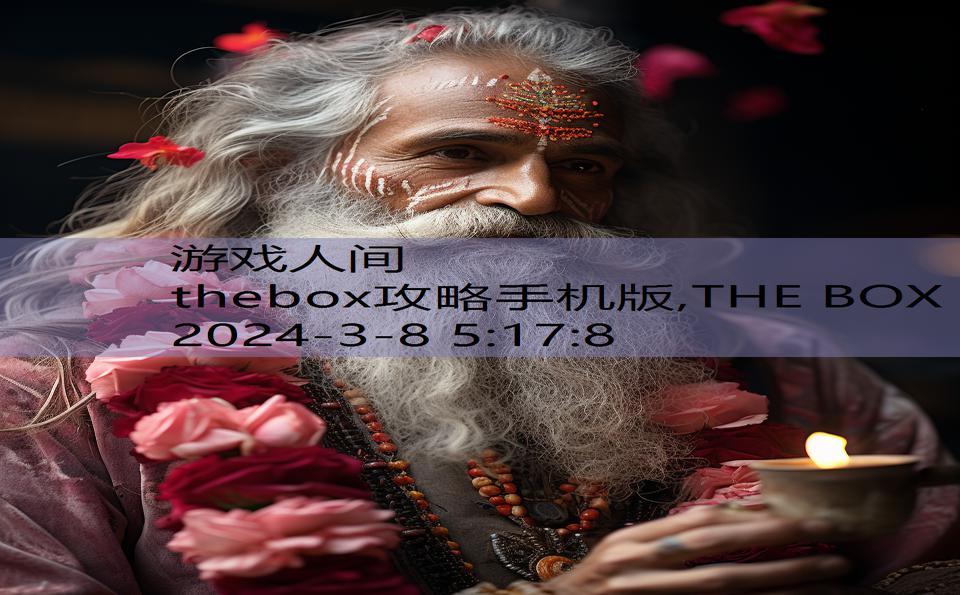 thebox攻略手机版,THE BOX