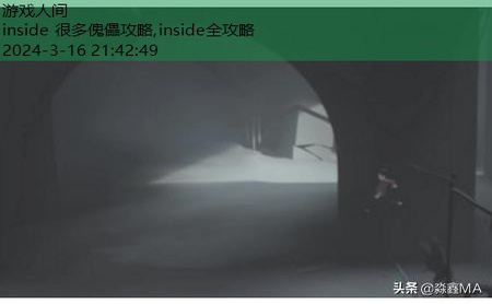 inside水里攻略