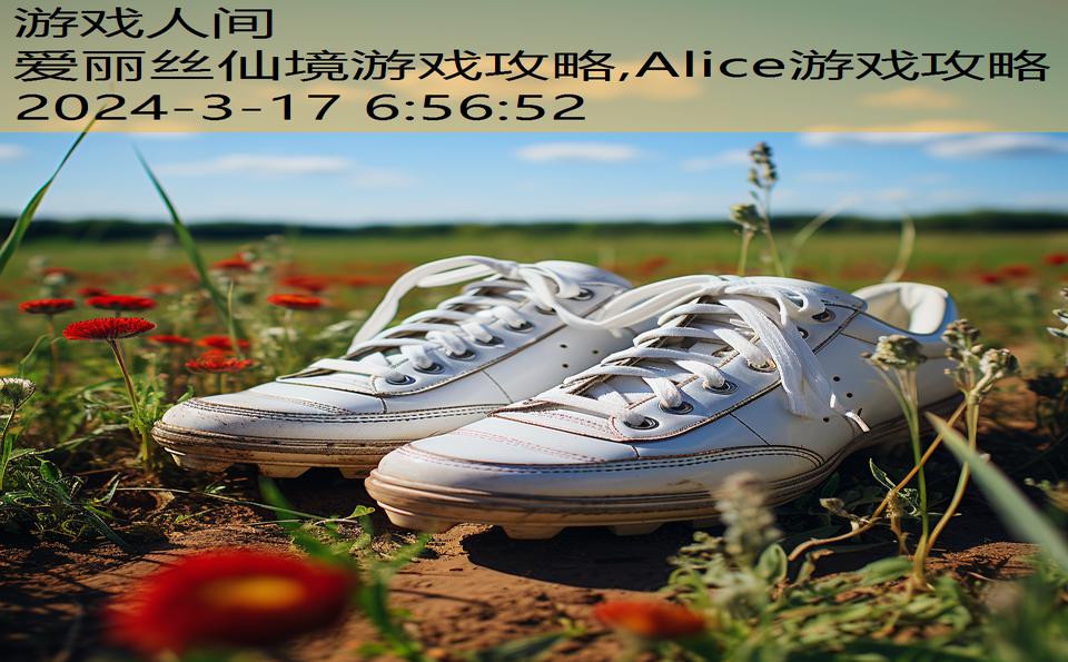 爱丽丝仙境游戏攻略,Alice游戏攻略