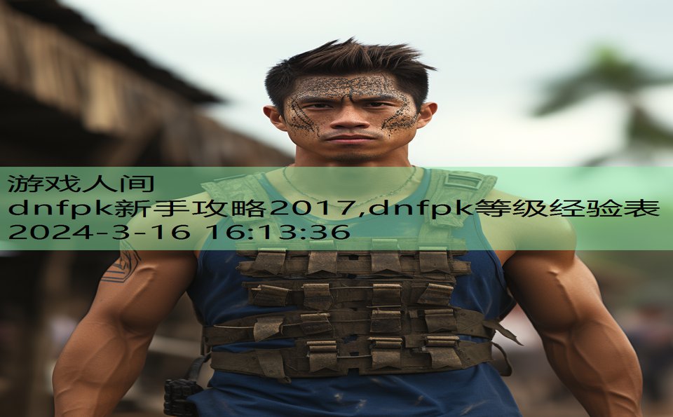 dnfpk新手攻略2017,dnfpk等级经验表