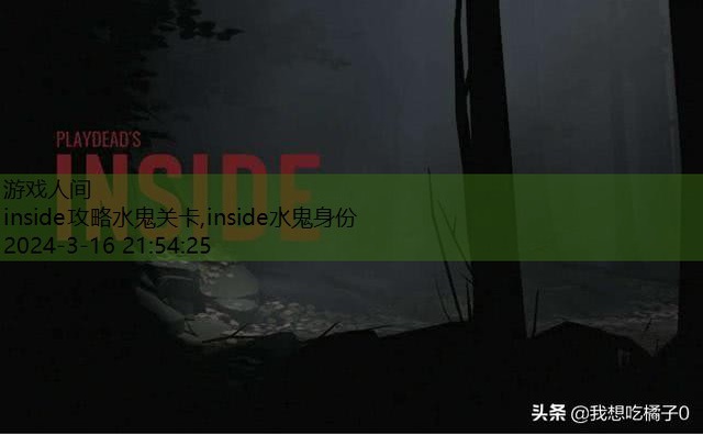 inside水鬼身份