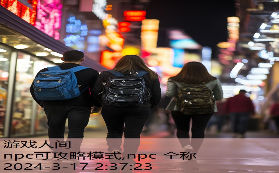 npc可攻略模式,npc 全称