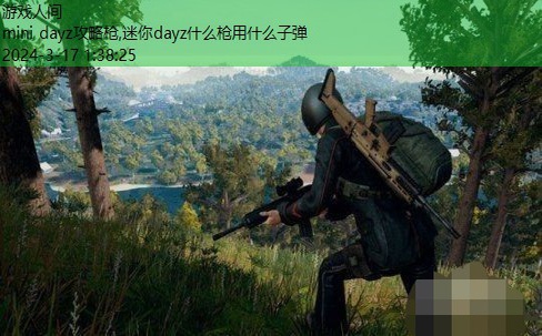 迷你dayz什么枪用什么子弹