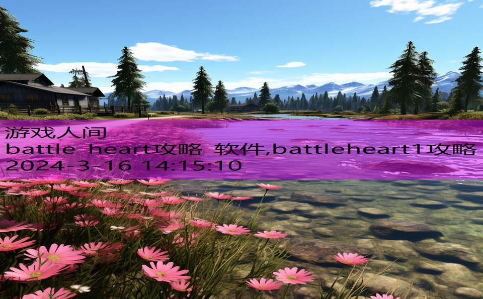 battle heart攻略 软件,battleheart1攻略