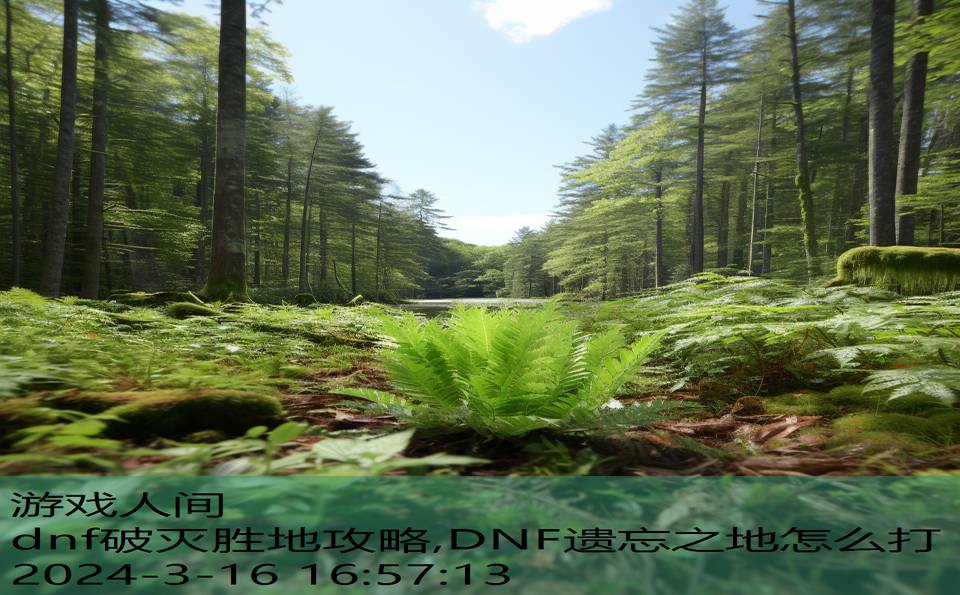 dnf破灭胜地攻略,DNF遗忘之地怎么打