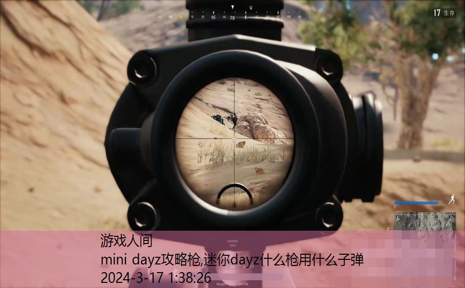 迷你dayz什么枪用什么子弹