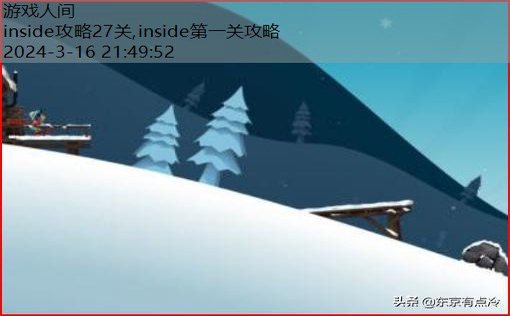 inside攻略27关