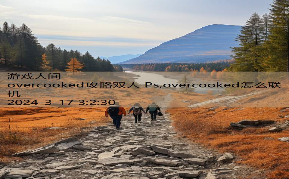 overcooked攻略双人 Ps,overcooked怎么联机