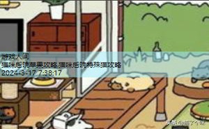 猫咪后院攻略稀有猫