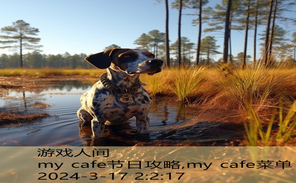 my cafe节日攻略,my cafe菜单