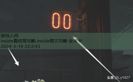 inside图文攻略 全关卡