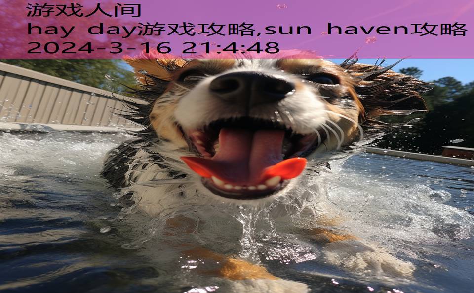 hay day游戏攻略,sun haven攻略