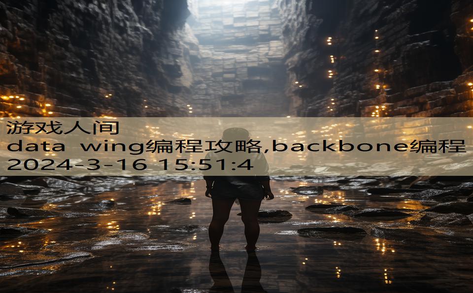 data wing编程攻略,backbone编程