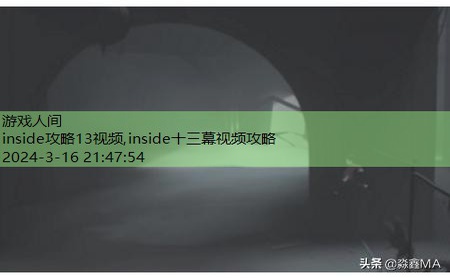 inside水里攻略