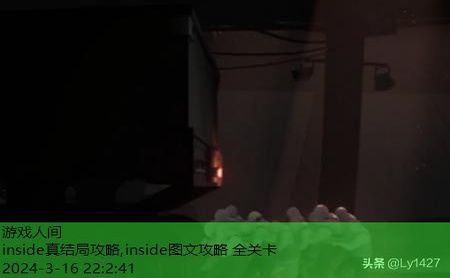 inside图文攻略 全关卡