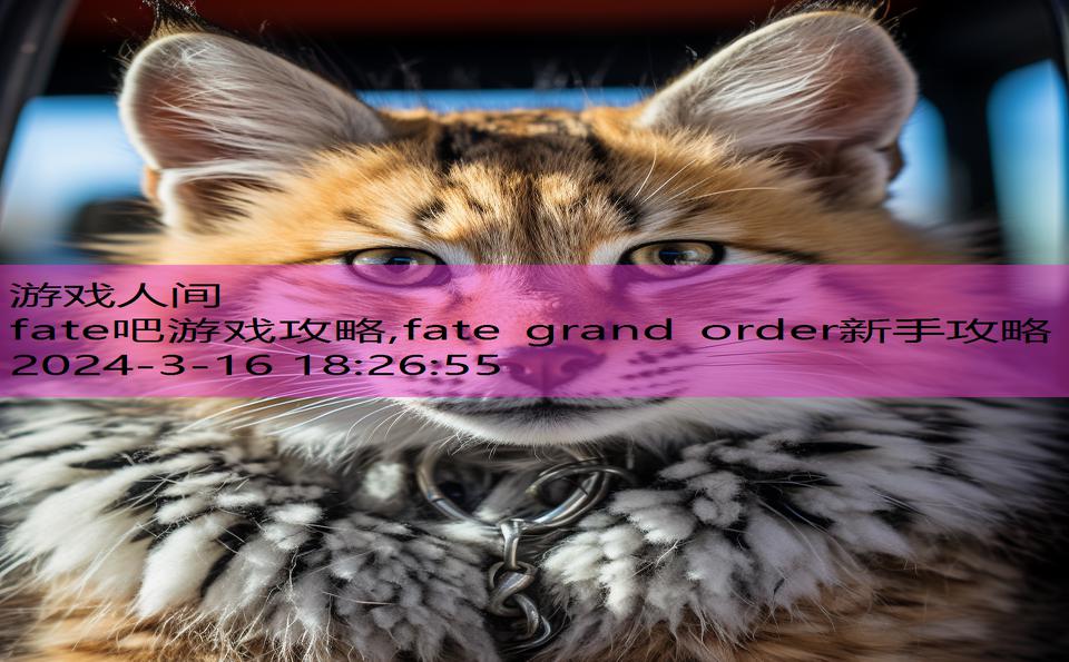 fate吧游戏攻略,fate grand order新手攻略