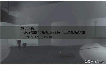 inside水里攻略