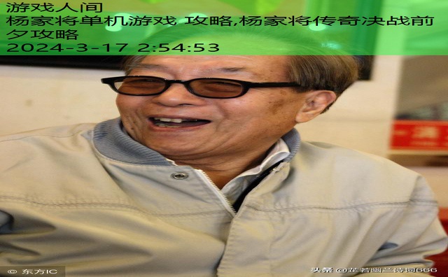 杨家将新传全攻略