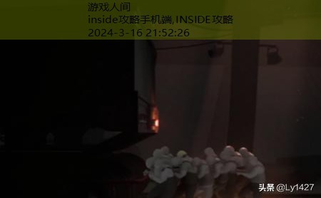 inside图文攻略 全关卡