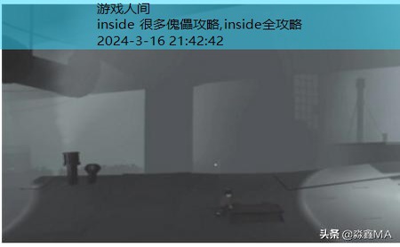 inside水里攻略