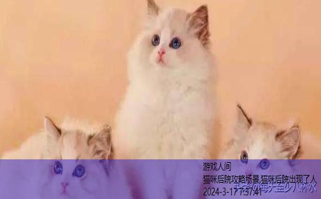 后院猫咪