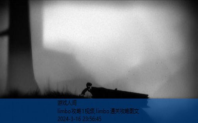 limbo攻略1视频