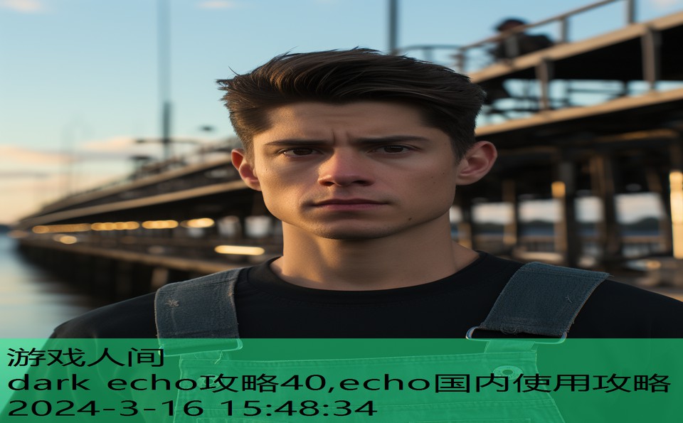 dark echo攻略40,echo国内使用攻略