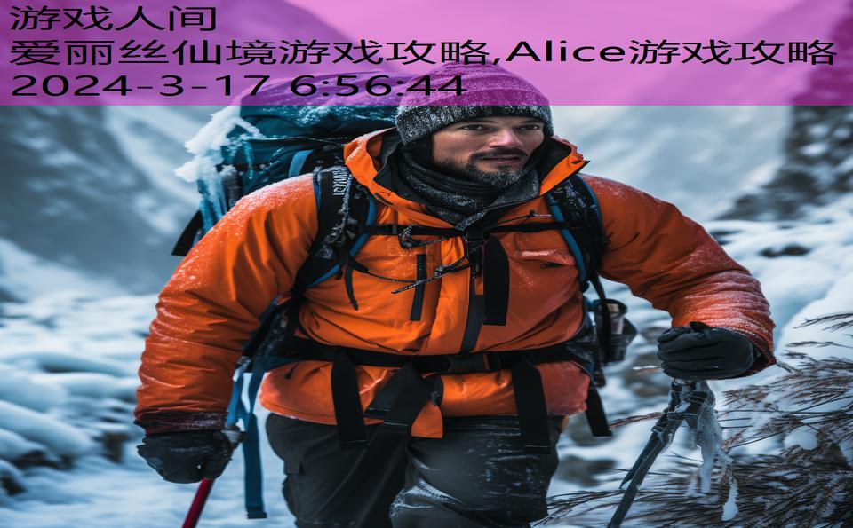 爱丽丝仙境游戏攻略,Alice游戏攻略