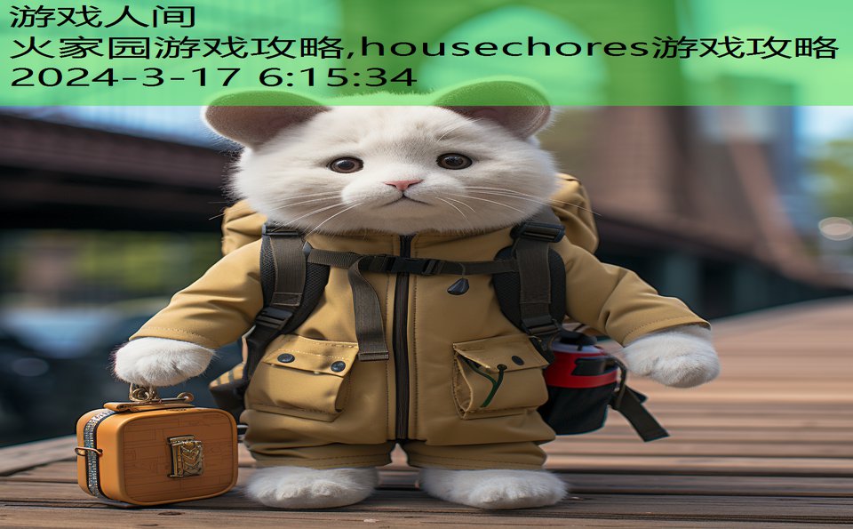 火家园游戏攻略,housechores游戏攻略