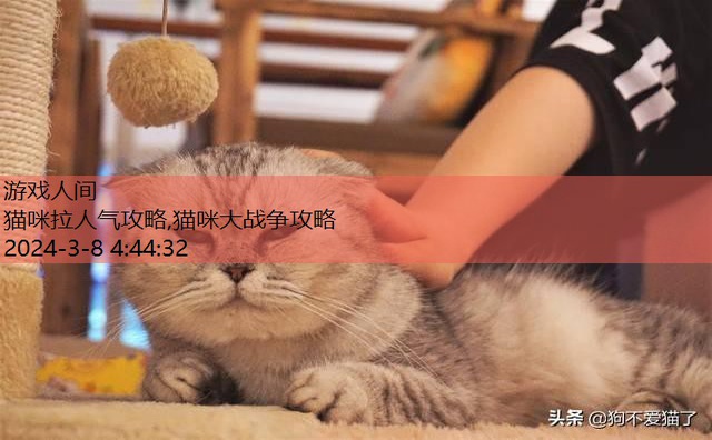 猫咪拉软便但精神还好