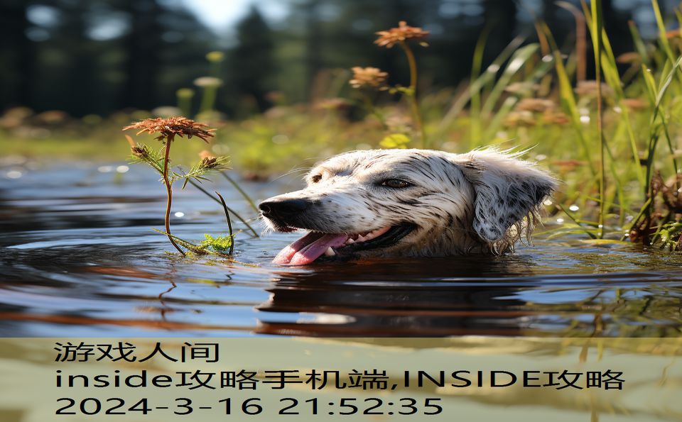 inside攻略手机端,INSIDE攻略