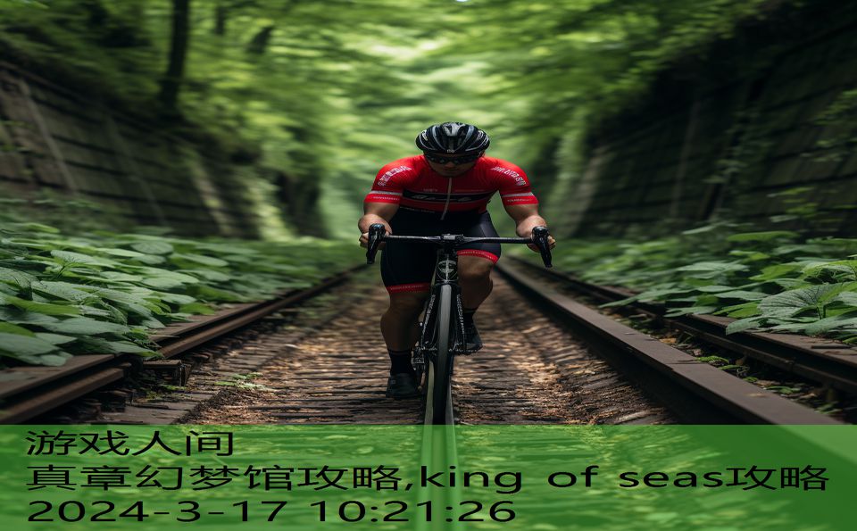 真章幻梦馆攻略,king of seas攻略