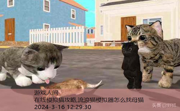 模拟猫生存下载安装