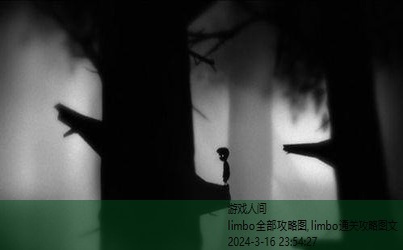 limbo游戏攻略