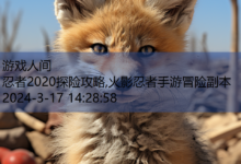 忍者2020探险攻略,火影忍者手游冒险副本-游戏人间